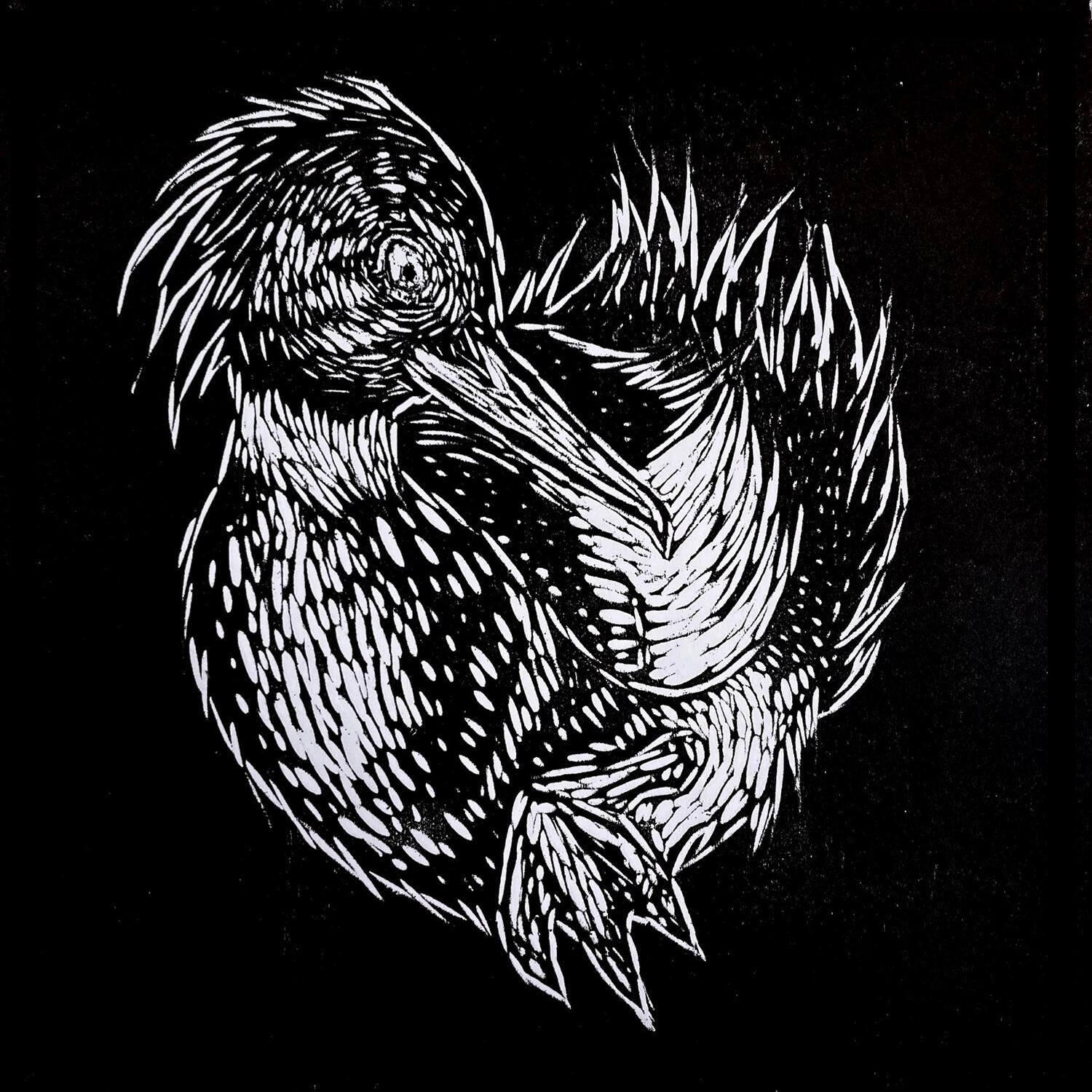 Terrasongs Font Logo Font logo for a small, DIY music label in CT